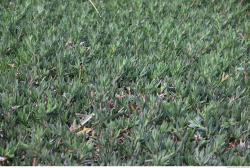 Photo of Mixed Nature Textures